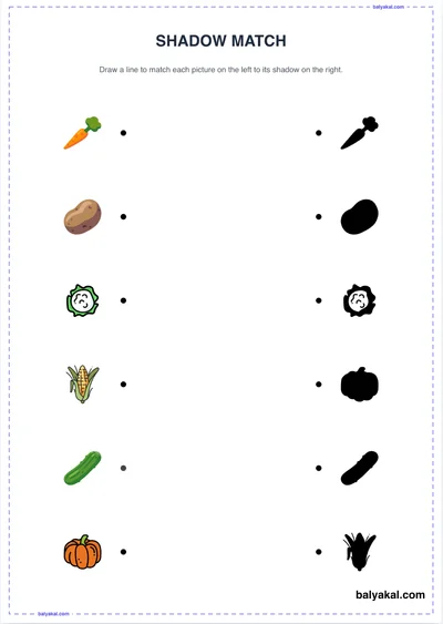 Shadow Matching Game page 1 - Printable worksheet preview